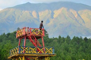 Satu Lagi Hutan Pinus Instagenic di Magelang