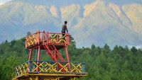 Salah satu spot foto yang disuguhkan di Hutan Pinus Kragilan langsung menghadap gunung merbabu