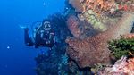 Satu Lagi Surga Diving di Sulawesi Utara