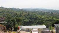 Bukit hijau yang terhampar di depan mata.