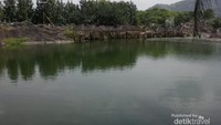 Suasana di dalam sejuk dan segar walau dari luar tanpak hanya bebatuan