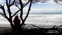 Jejak cemara di tepi pantai