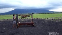 Salah satu pemandangan Savana Bekol di musim penghujan