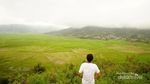 Sawah Unik Berbentuk Jaring Laba-laba di Flores