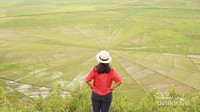 Sawah ini dibentuk dengan maksud untuk pembagian lahan