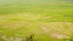Sawah Unik Berbentuk Jaring Laba-laba di Flores