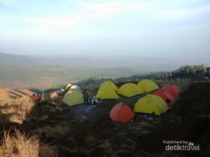 Sawah Warna-warni di Kaki Bukit Pergasingan, Rinjani
