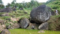 Batu-batu berukuran raksasa, masih banyak di kawasan ini (Ammang/detikNews)