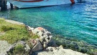 Kapal cepat dari Pelabuhan Tulehu ke Amahai