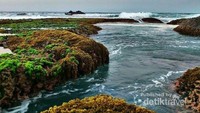 Gugusan karang hidup di Pantai Sawarna