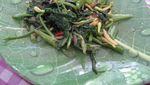 Seafood Enak di Timika, Serbu!