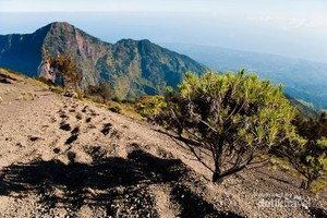 Sebelum Daki Rinjani, Simak Dulu Aneka Peraturan Berikut