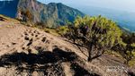 Sebelum Daki Rinjani, Simak Dulu Aneka Peraturan Berikut