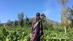 Sebelum ke Dieng, Coba Mampir ke Spot Cantik Ini