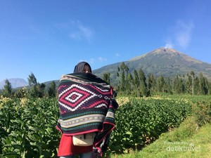 Sebelum ke Dieng, Coba Mampir ke Spot Cantik Ini