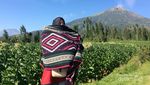 Sebelum ke Dieng, Coba Mampir ke Spot Cantik Ini