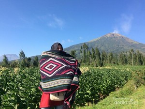 Sebelum ke Dieng, Coba Mampir ke Spot Cantik Ini