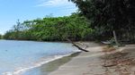 Sebelum Lihat Hiu Paus, Singgah Dulu di Pantai Wagi