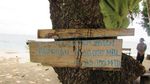 Sebelum Lihat Hiu Paus, Singgah Dulu di Pantai Wagi