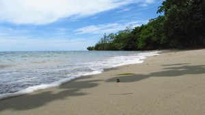 Sebelum Lihat Hiu Paus, Singgah Dulu di Pantai Wagi