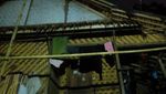 Sebuah Kisah Perjalanan dari Tanah Baduy
