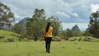 padang nausus yang hijau dan indah.