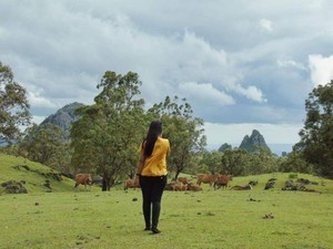 Secuil Keindahan dari Timor Tengah Selatan