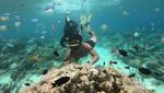 Secuil Surga Bawah Laut Yapen Papua