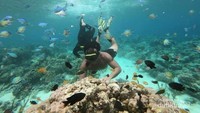 Bawah laut pantai Sarawandori begitu jernih.