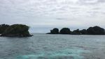 Secuil Surga Bawah Laut Yapen Papua