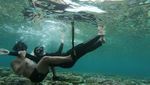 Secuil Surga Bawah Laut Yapen Papua