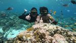 Secuil Surga Bawah Laut Yapen Papua