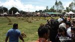 Sedekah Durian, Hebohnya Pesta Durian di Pulau Bangka
