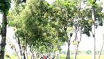 Segar, Bersepeda di Tengah Hijaunya Tulungagung