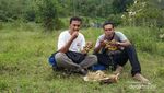 Segar! Wisata ke Kebun Kelengkeng di Aceh Besar