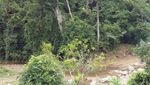 Segar! Wisata ke Kebun Kelengkeng di Aceh Besar