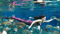 Foto underwater putri duyung.