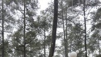Salah satu spot yang banyak diminati pengunjung