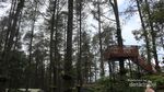Segarkan Pikiran di Orchid Forest Bandung