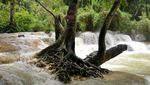 Segarnya Air Terjun Kuang Si di Luang Prabang