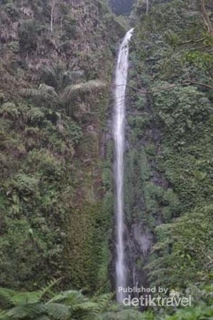 Segarnya Air Terjun Tancak di Jember