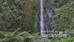Segarnya Air Terjun Tancak di Jember