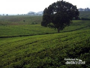 Segarnya Berendam di Sari Ater, Subang