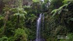 Segarnya Curug Grenjengan Kembar di Magelang