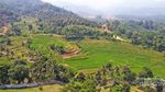 Segarnya Udara Pagi di Gunung Leutik Bogor