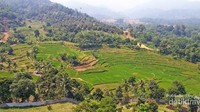 Pemandangan alam