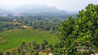 Pemandangan pedesaan