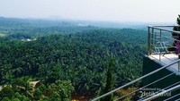 Hamparan kelapa sawit