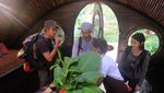 Sehari Jadi Ahli Bikin Cokelat di Sumba