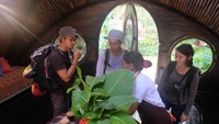 Ines menjelaskan tentang coklat yg diproduksi di sini.